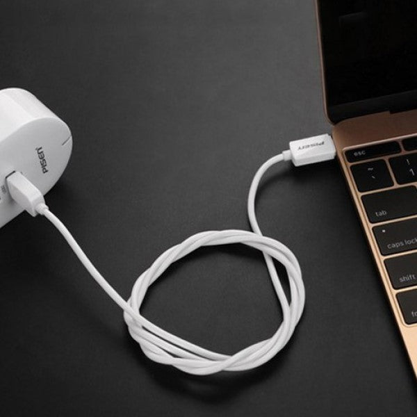 PISEN Kabel USB USB-C Szybkie Ładowanie (TP-C25)