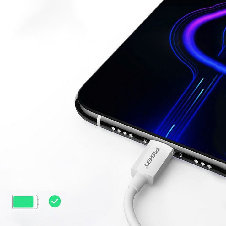 PISEN Kabel USB USB-C Szybkie Ładowanie (TP-C25)