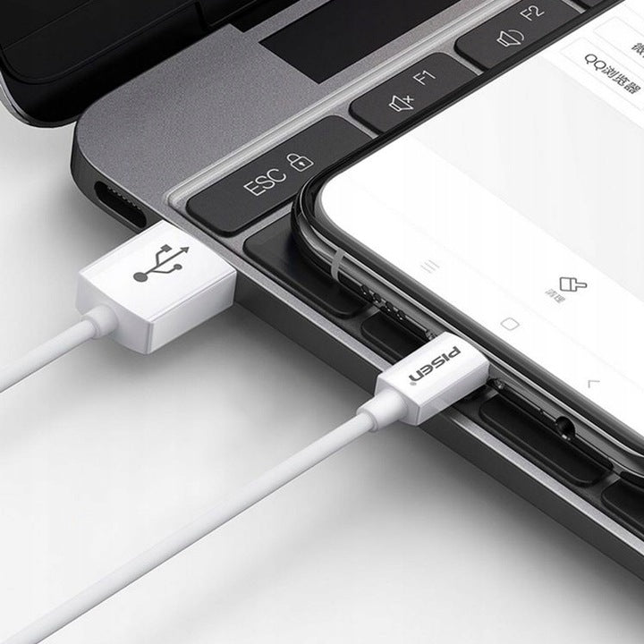 Cable USB de carga rápida PISEN USB-C (TP-C25)